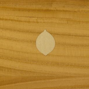 Motif de citron gravé au laser en incrustation fine dans le placage bois d’une porte de la collection verger de GRAUTHOFF Türengruppe GmbH