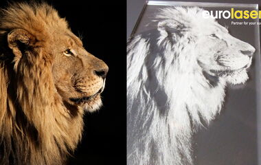 Vorschaubild zum Video über die PICTURE+ Option zur Lasergravur von Bilddaten als Pixelgrafiken in hoher Auflösung