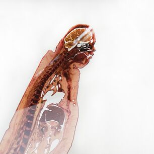 Detailgetreuer Digitaldruck auf Acrylglas, präzise mit dem Laser konturgeschnitten für kristallklare Schnittkanten und höchste Maßgenauigkeit