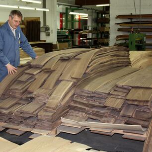 Un collaborateur de GRAUTHOFF Türengruppe GmbH examine soigneusement des placages bois pour un traitement laser ultérieur