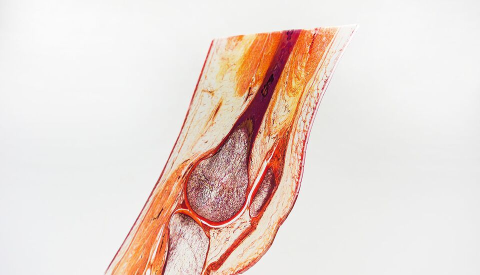 Impresión digital realista y detallada en acrílico para instituciones educativas, cortada con precisión mediante una máquina de corte por láser eurolaser