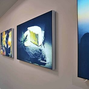 Panel separador Acousticframe con revestimiento textil y absorción sonora – solución funcional y estética para dividir espacios y mejorar la acústica interior