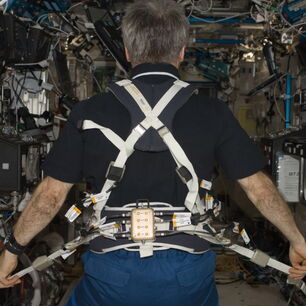 Glenn Harness fabriqué par Terrazign, un harnais high-tech destiné à l'entraînement des astronautes sur tapis roulant à bord de la Station spatiale internationale (ISS)