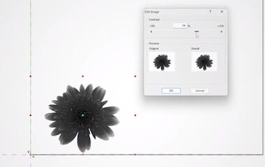 Vorschaubild zum Video über das LaserScout PICTURE Softwaremodul von eurolaser für Rastergravuren mit bis zu 1.200 dpi Auflösung und 256 Graustufen auf verschiedenen Materialien